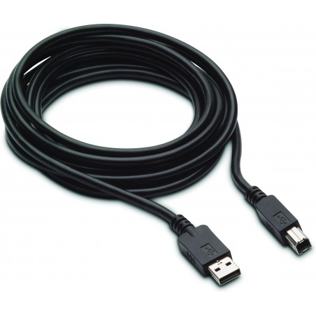 HP Câble DP et USB B vers A 300 cm pour L7016t L7014t et L7010t