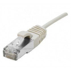 Dexlan 858705 câble de réseau Gris 5 m Cat6a S FTP (S-STP)