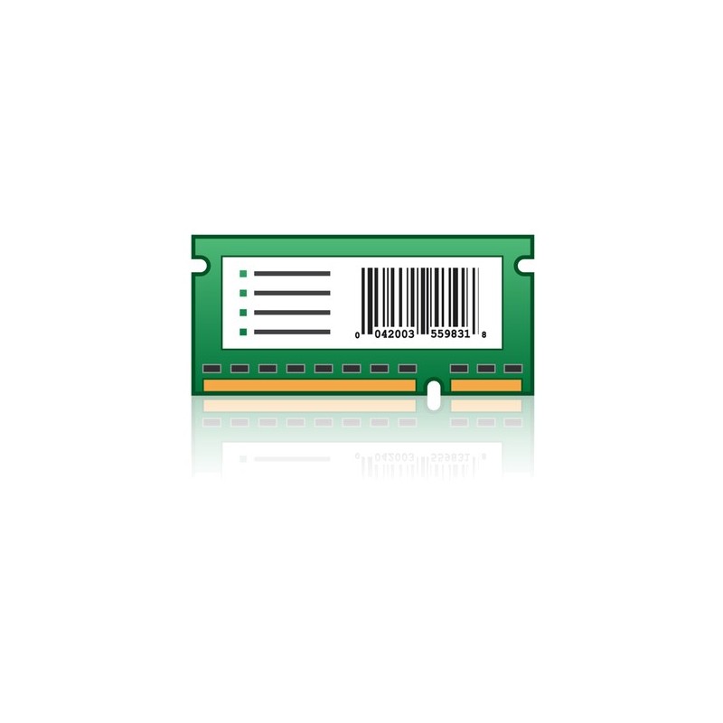 Lexmark 256MB Flash 256 Mo