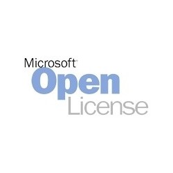 Microsoft VDA SNGL, OVL NL 1 licence(s)