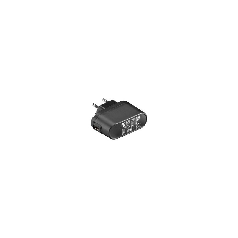 Goobay NTS 1000 EuP adaptateur de puissance & onduleur Noir