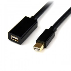 StarTech.com Câble d'Extension Mini DisplayPort de 2 m - Vidéo 4K x 2K - Câble d'Extension Mini DisplayPort Mâle vers Femelle -