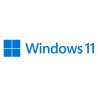 Microsoft Windows 11 Pro Produit complètement emballé (FPP) 1 licence(s)