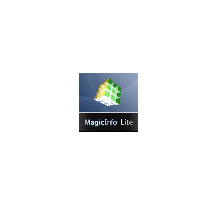 Samsung MagicInfo Lite S W Server License 1 licence(s)