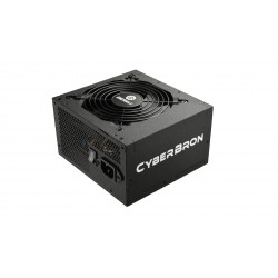 Enermax CyberBron unité d'alimentation d'énergie 700 W 24-pin ATX ATX Noir