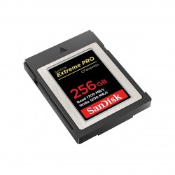 SanDisk SDCFE-256G-GN4NN mémoire flash 256 Go CFexpress