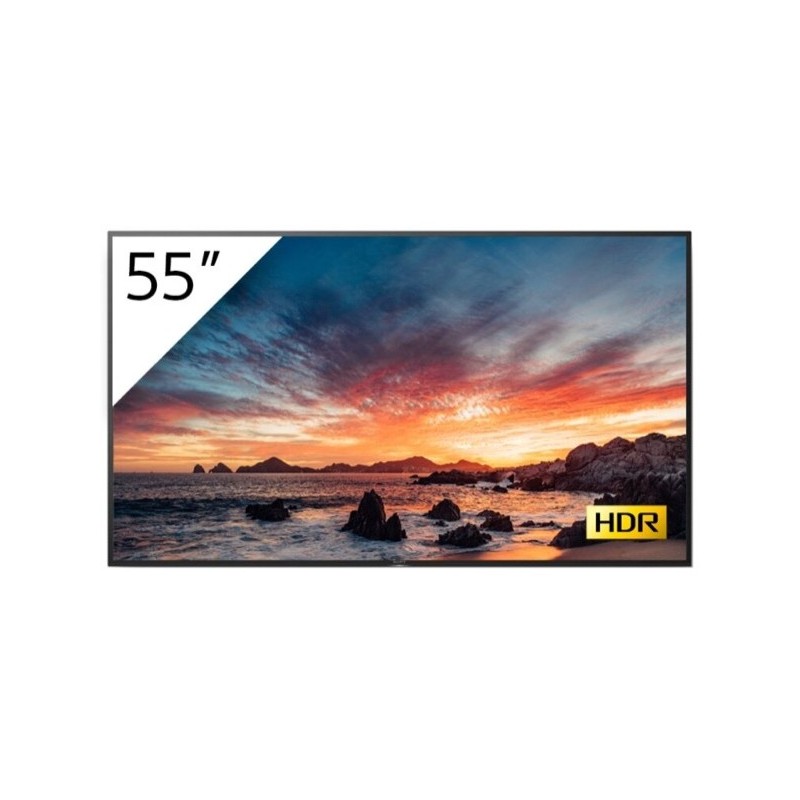 SONY- Afficheur professionnel 55" FWD-55X81H/T1