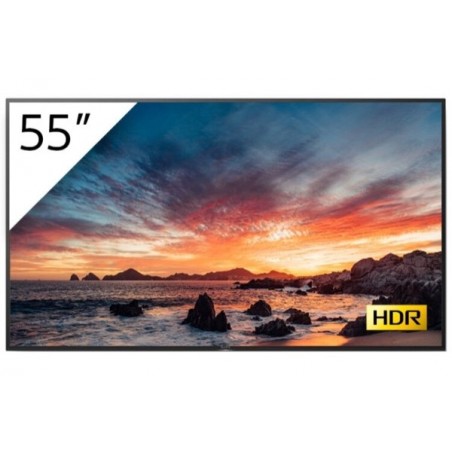 SONY- Afficheur professionnel 55" FWD-55X81H/T1