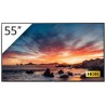 SONY- Afficheur professionnel 55" FWD-55X81H/T1