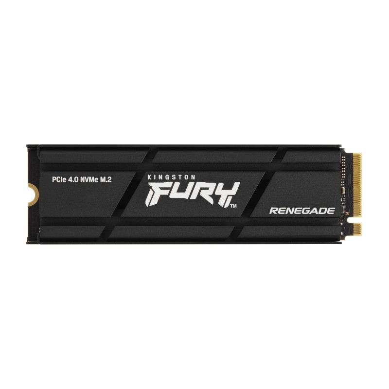 Kingston Technology 2000G RENEGADE PCIe 4.0 NVMe SSD W  Radiateur de dissipation thermique