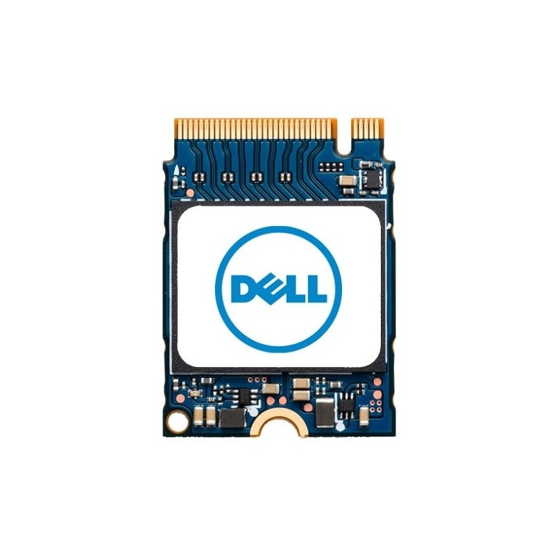 DELL AB673817 disque SSD M.2 1 To PCI Express NVMe