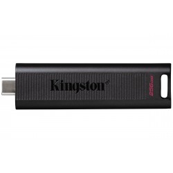 Kingston Technology DataTraveler 256GB Max 1000R 900W USB 3.2 Gen 2