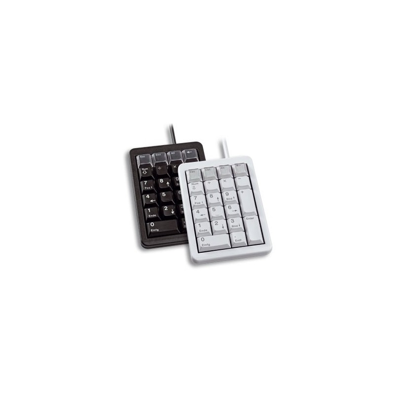 CHERRY G84-4700 USB clavier numérique Gris