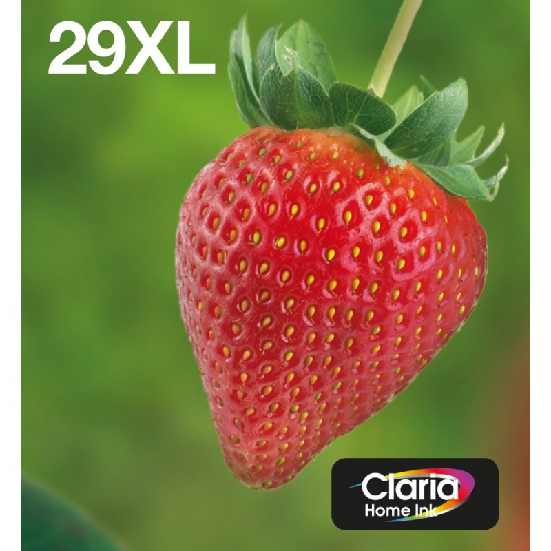 Epson Strawberry Multipack EasyMail "Fraise" 29XL - Encre Claria Home N,C,M,J