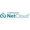 Cradlepoint NetCloud Enterprise Branch 1 licence(s) 1 année(s)