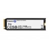 Kingston Technology 1000G RENEGADE PCIe 4.0 NVMe SSD W  Radiateur de dissipation thermique