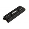 Kingston Technology 1000G RENEGADE PCIe 4.0 NVMe SSD W  Radiateur de dissipation thermique