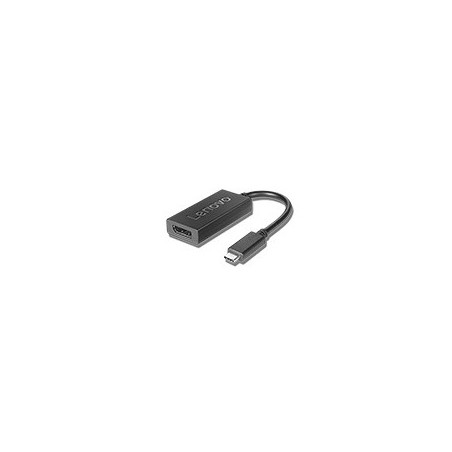 Lenovo 4X90Q93303 adaptateur graphique USB Noir