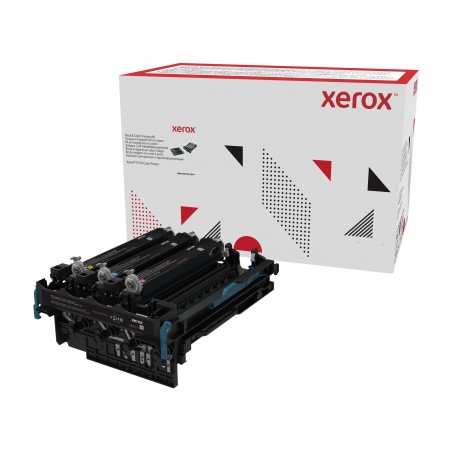 Xerox Module d'impression en couleur C310 (élément à durée de vie prolongée, généralement non requis pour les niveaux