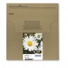 Epson Daisy Multipack EasyMail "Pâquerette" 18 - Encre Claria Home N,C,M,J