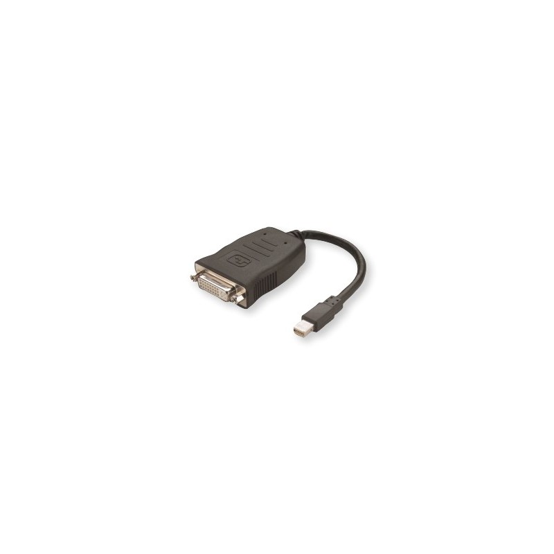 AMD 199-999365 câble vidéo et adaptateur Mini DisplayPort DVI Noir