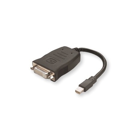 AMD 199-999365 câble vidéo et adaptateur Mini DisplayPort DVI Noir