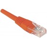 Connect 243761 câble de réseau Orange 15 m Cat6 U UTP (UTP)