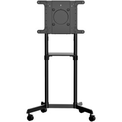 StarTech.com Chariot Meuble TV - Support TV sur Roulettes Portable pour Écrans VESA 37-70" (70kg) - Pied TV avec Étagère de