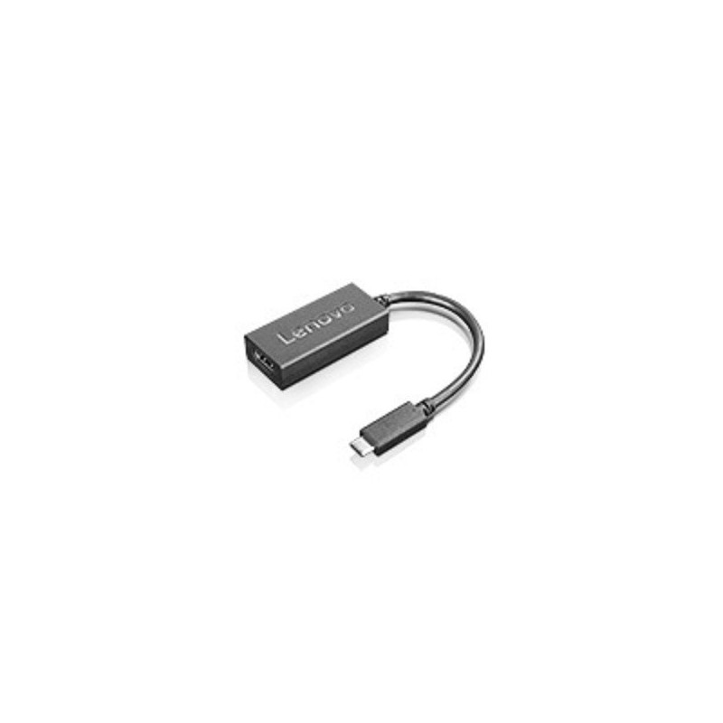 Lenovo 4X90M42956 adaptateur graphique USB Noir