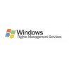 Microsoft Windows Rights Management Services Licence d'accès client 1 année(s)