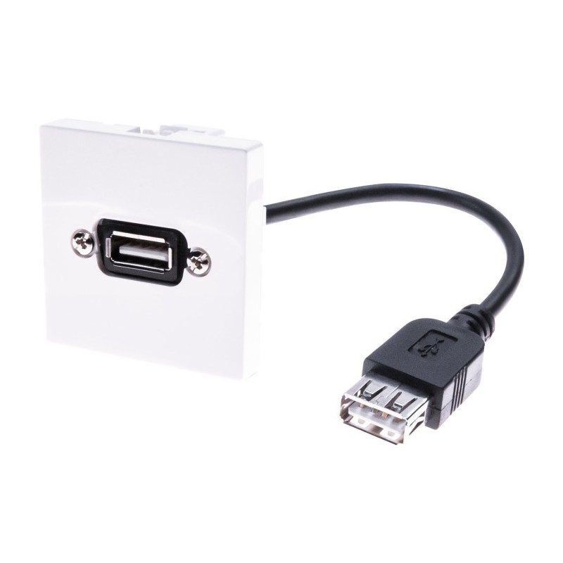 Générique ECF-102675 câble USB 0,1 m USB 2.0 USB A Noir, Blanc