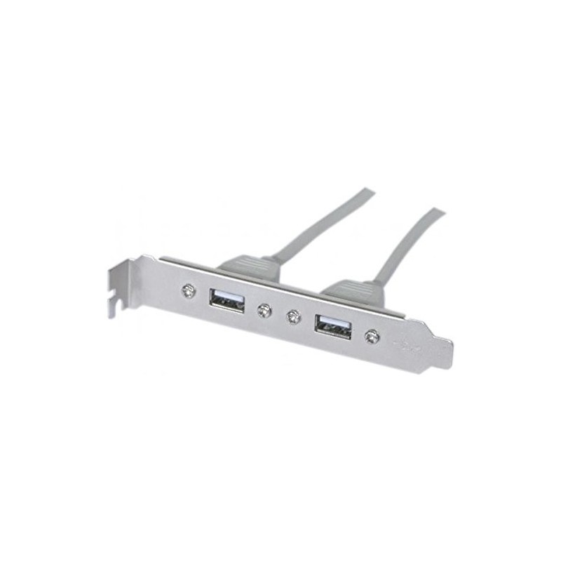 Connect 146698 Câble USB interne