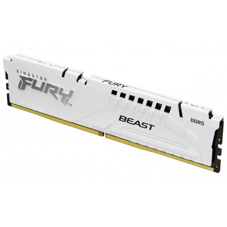 Kingston Technology FURY Beast 32 Go 5600 MT s DDR5 CL36 DIMM White EXPO