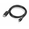 Lenovo 0B47091 câble DisplayPort 2 m mini DisplayPort Noir