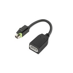 Lenovo 4X90Q93975 câble vidéo et adaptateur Mini DisplayPort DisplayPort Noir