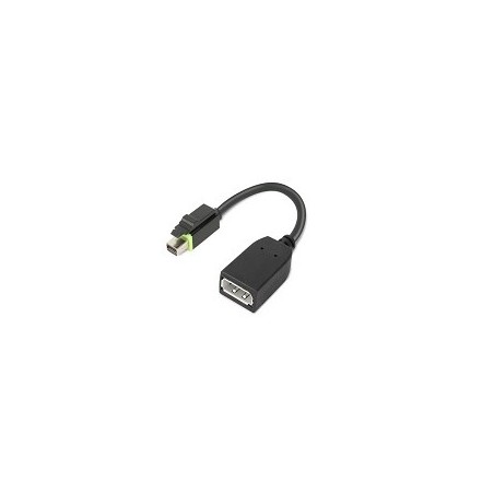 Lenovo 4X90Q93975 câble vidéo et adaptateur Mini DisplayPort DisplayPort Noir