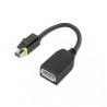 Lenovo 4X90Q93975 câble vidéo et adaptateur Mini DisplayPort DisplayPort Noir